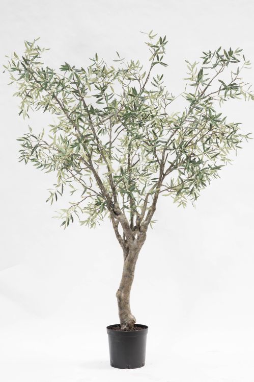 Декоративное дерево PLANT OLIJF GROEN 244 cm 123836 Silk-ka НИДЕРЛАНДЫ