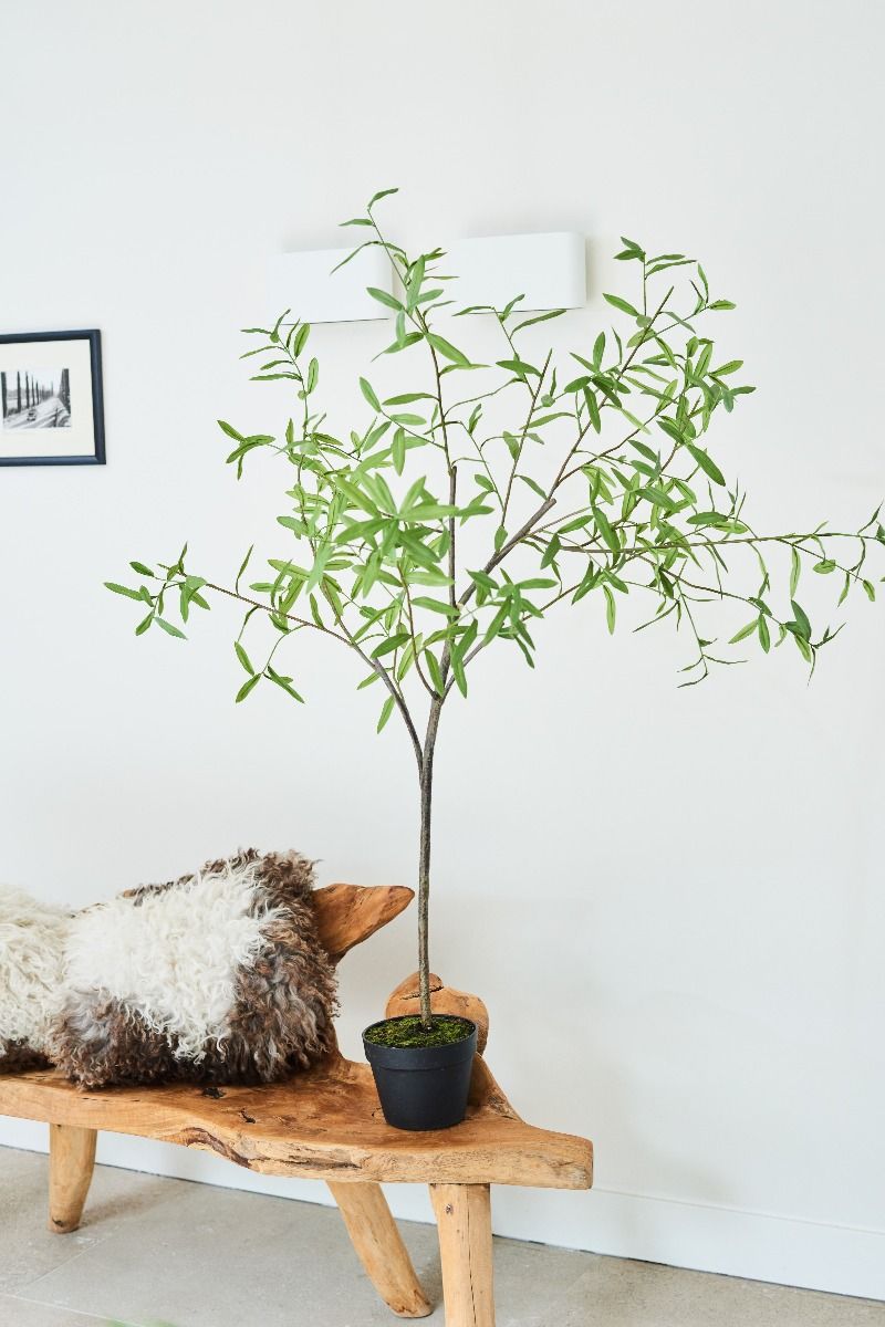 Декоративное дерево PLANT OLIJF GROEN 195 cm 133500 Silk-ka НИДЕРЛАНДЫ