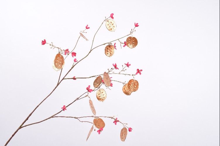 Декоративные цветы JUDASPENNING GOUD/RZ D 97 cm 136364 Silk-ka НИДЕРЛАНДЫ