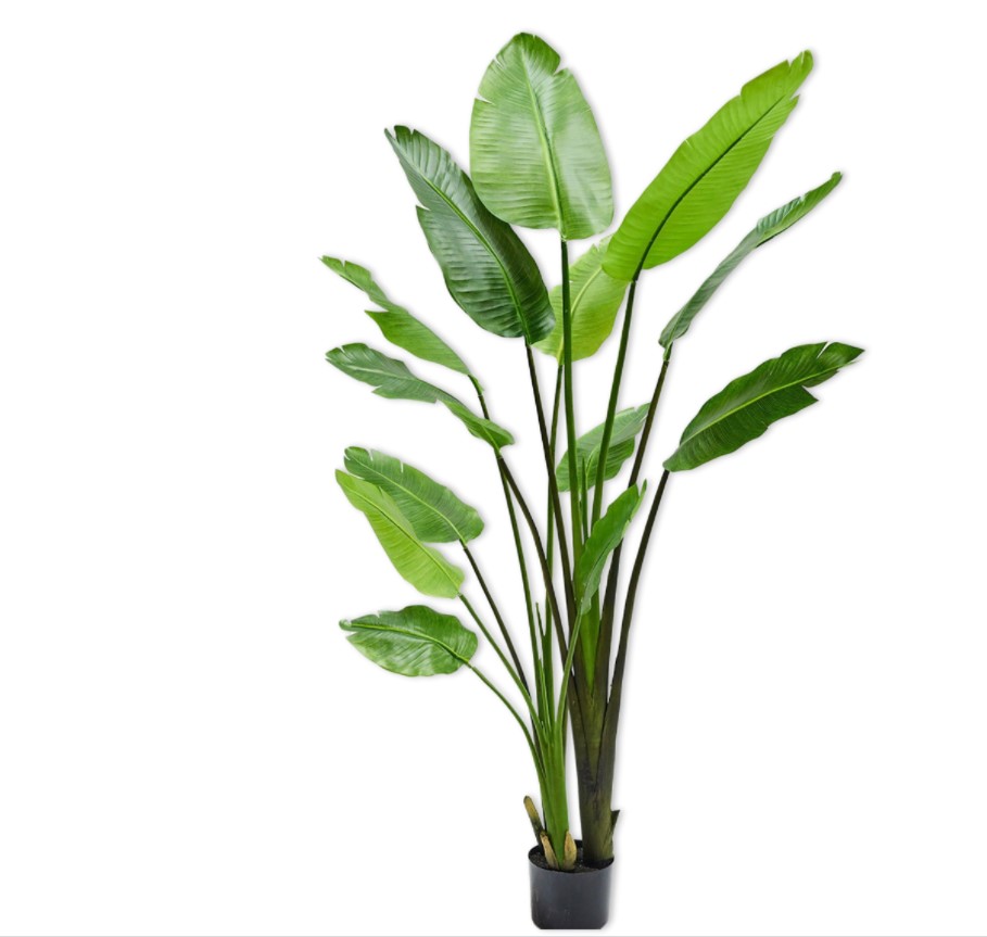 PLANT STRELIZIA GREEN 183 cm/ Стрелиция Silk-ka НИДЕРЛАНДЫ