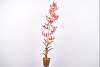 Декоративные цветы PLANT ACRYL GOUD/ROZ 71 cm 136610 Silk-ka НИДЕРЛАНДЫ