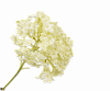 Декоративный цветок SNOWBALL PICK GRN LT 26 cm 108951 Silk-ka НИДЕРЛАНДЫ