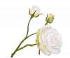 Декоративная роза ROSE SPRAY WHITE 59 cm 135448 Silk-ka НИДЕРЛАНДЫ