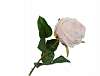 Декоративная роза ROSE STEM SALMON 46 cm 113771 Silk-ka НИДЕРЛАНДЫ