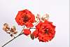 Декоративные цветы ROOS TAK GOUD/ROOD 69 cm 136622 Silk-ka НИДЕРЛАНДЫ