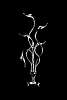 Настольная лампа Meta Swan MT8098-6A/CR Illuminati lighting ИТАЛИЯ