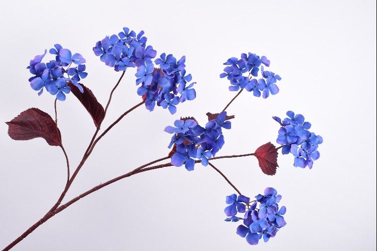 Декоративные цветы HORTENSIA TAK BL/PRS 107 cm 136618 Silk-ka НИДЕРЛАНДЫ