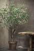 Декоративное дерево PLANT OLIJF GROEN 244 cm 123836 Silk-ka НИДЕРЛАНДЫ