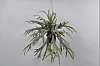 Декоративное растение PLANT HANG STAGHORN VERN GREEN 87 cm 122112 Silk-ka НИДЕРЛАНДЫ