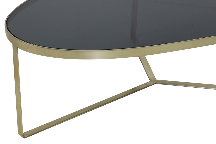 Кофейный столик Coffee table 118x89x40 cm TURBI glass black-matt bronze 6754212 Light & Living НИДЕРЛАНДЫ