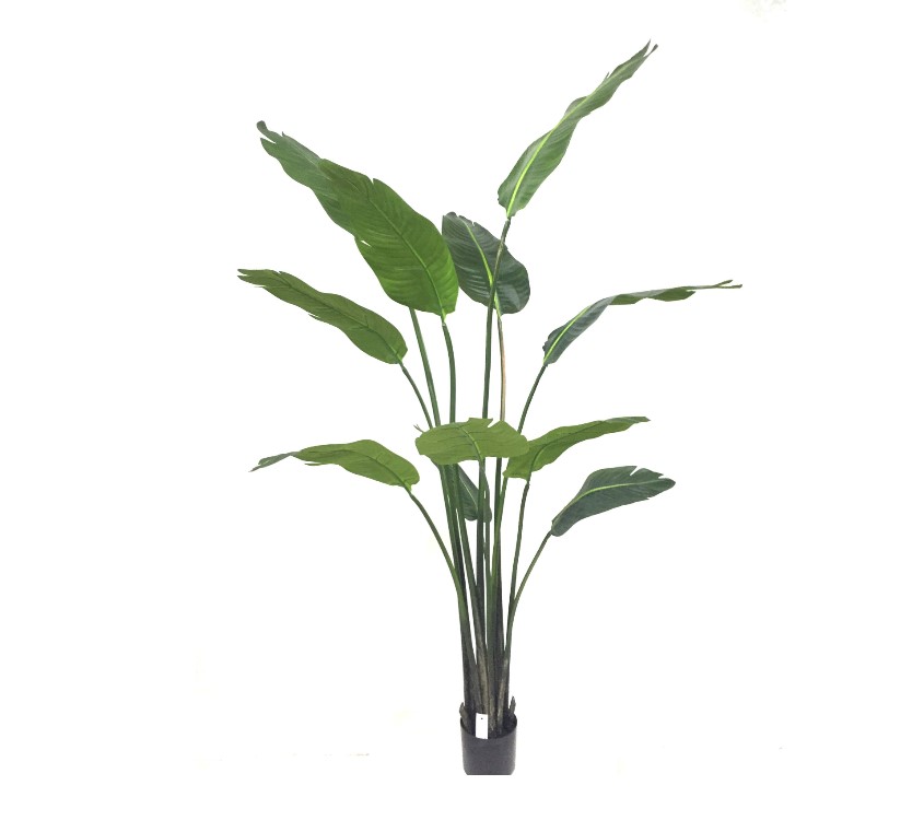 Декоративное растение PLANT I-POT STRELIZIA GREEN 183 cm 132817 Silk-ka НИДЕРЛАНДЫ