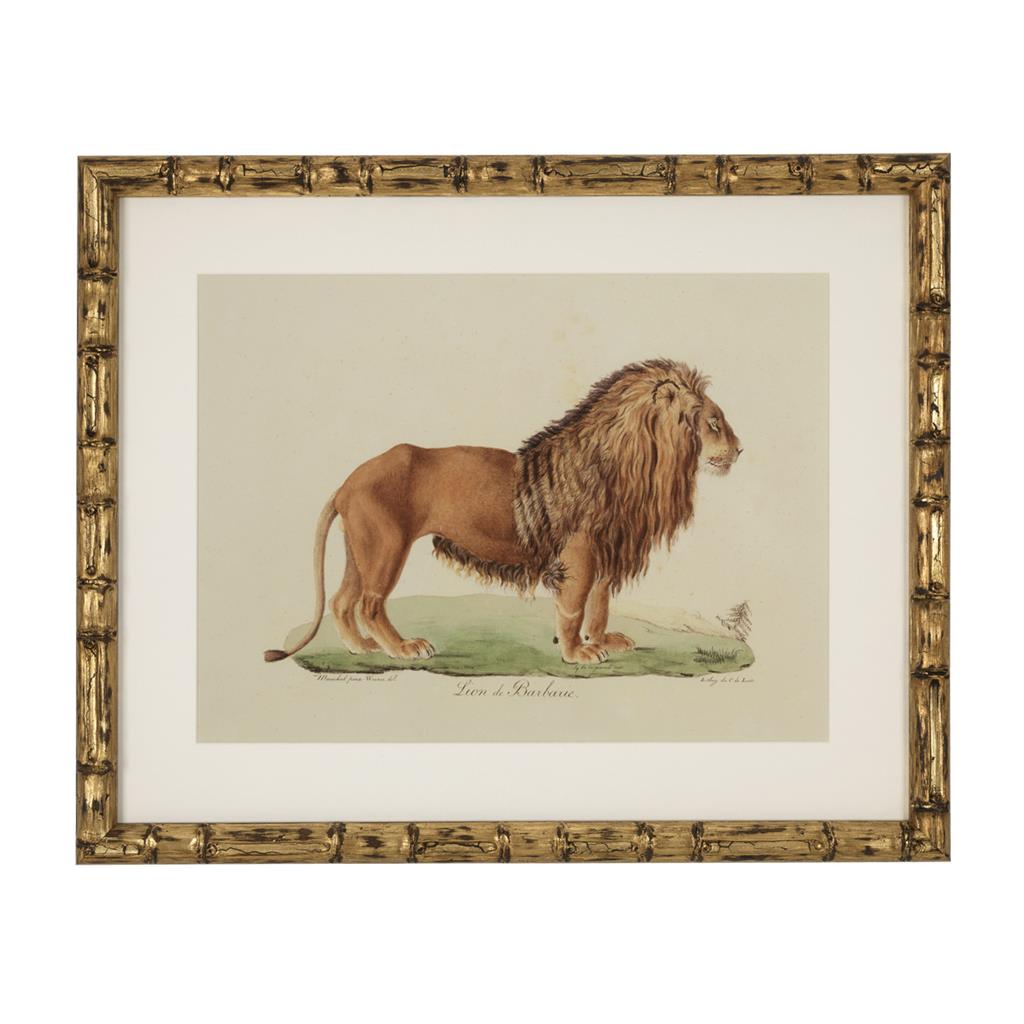 Постер Lion, Tigre, Jaguar (6 шт.) 111745 Eichholtz НИДЕРЛАНДЫ