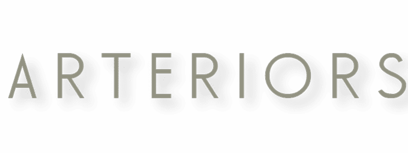 Arteriors home