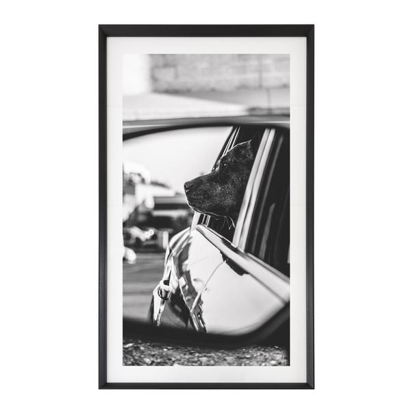 Постер DOG IN CAR EF389 Dome Deco БЕЛЬГИЯ