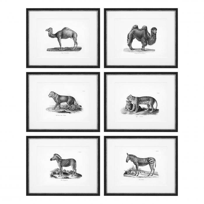 Постеры (сет из 6) Prints Historical Animals set of 6 112747 Eichholtz НИДЕРЛАНДЫ