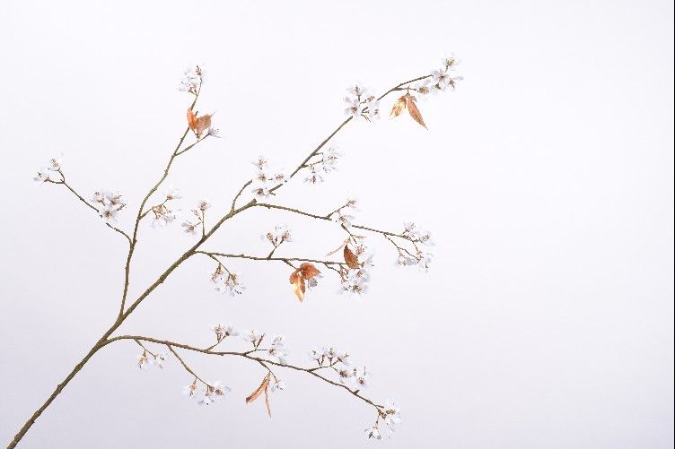 Декоративные цветы BLOESEM ACRYL WIT 119 cm 136519 Silk-ka НИДЕРЛАНДЫ