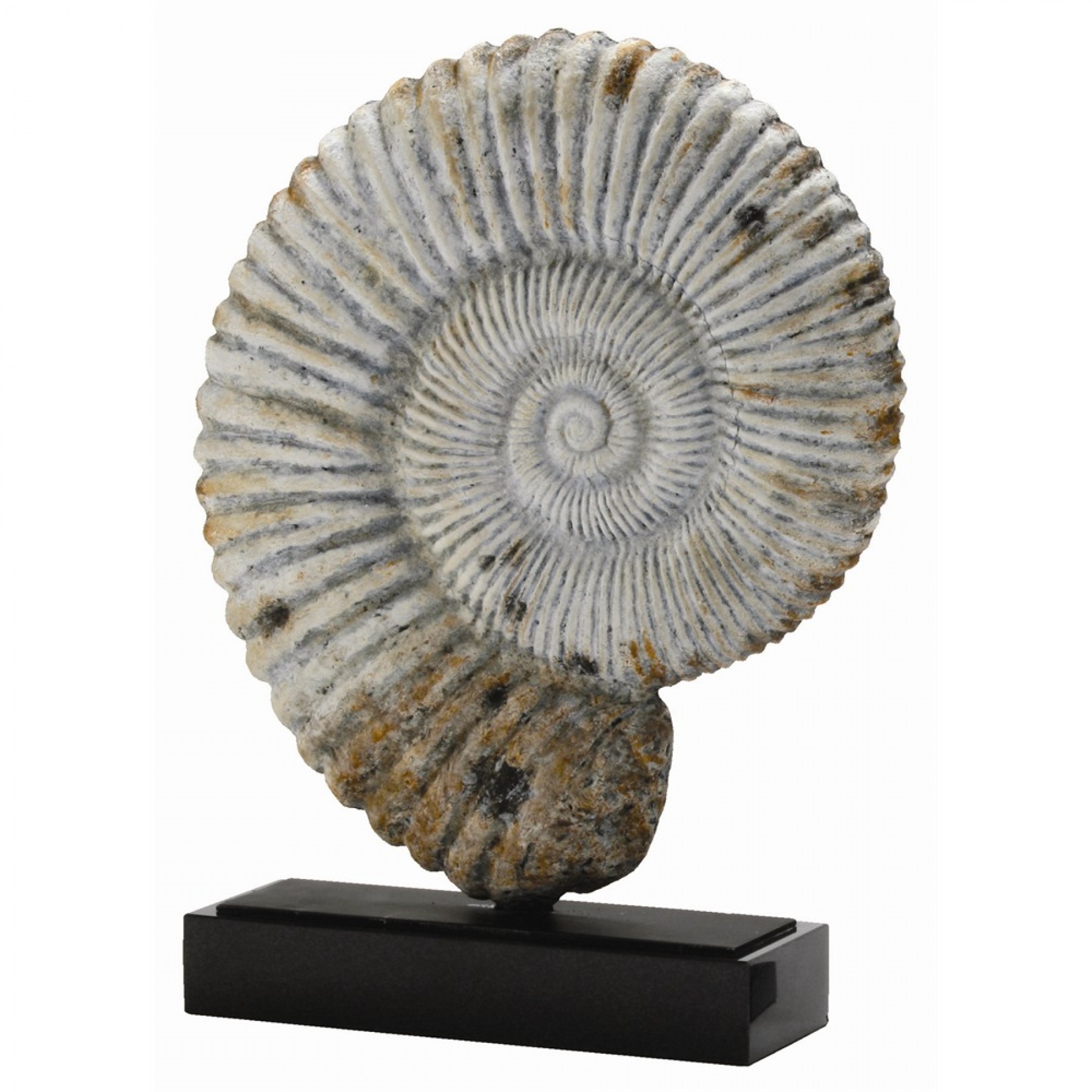 Скульптура Fossil 3236 Arteriors Home США
