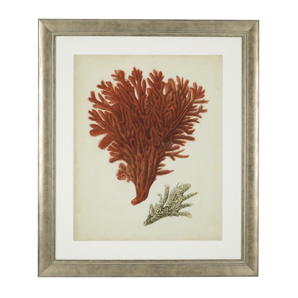 Постер Antique red corals (6 шт.) 111741 Eichholtz НИДЕРЛАНДЫ