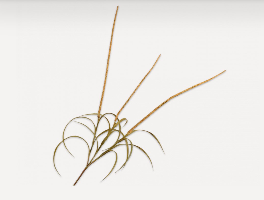 Декоративное растение GRAS TAK GEEL 135 cm 142320 Silk-ka НИДЕРЛАНДЫ