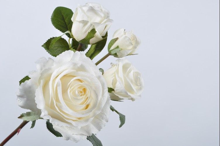 Декоративные цветы ROSE SPRAY WHITE 69 cm/ Роза Silk-ka НИДЕРЛАНДЫ