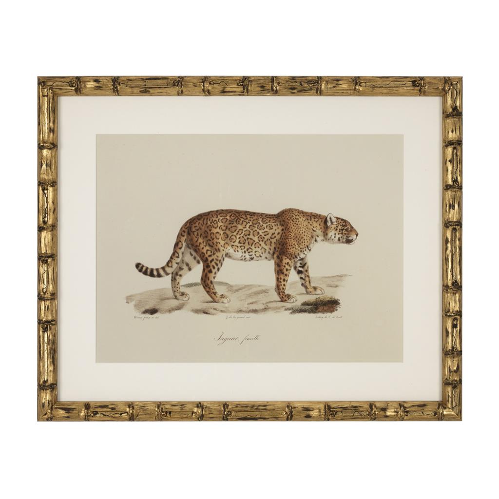 Постер Lion, Tigre, Jaguar (6 шт.) 111745 Eichholtz НИДЕРЛАНДЫ