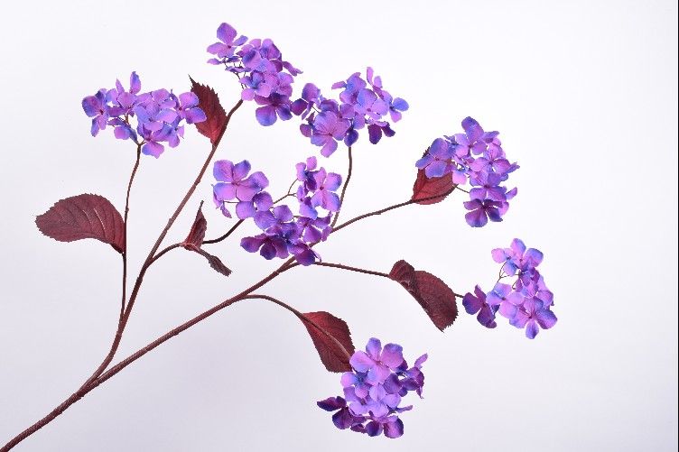 Декоративные цветы HORTENSIA TAK LAV/PRS 107 cm 136617 Silk-ka НИДЕРЛАНДЫ