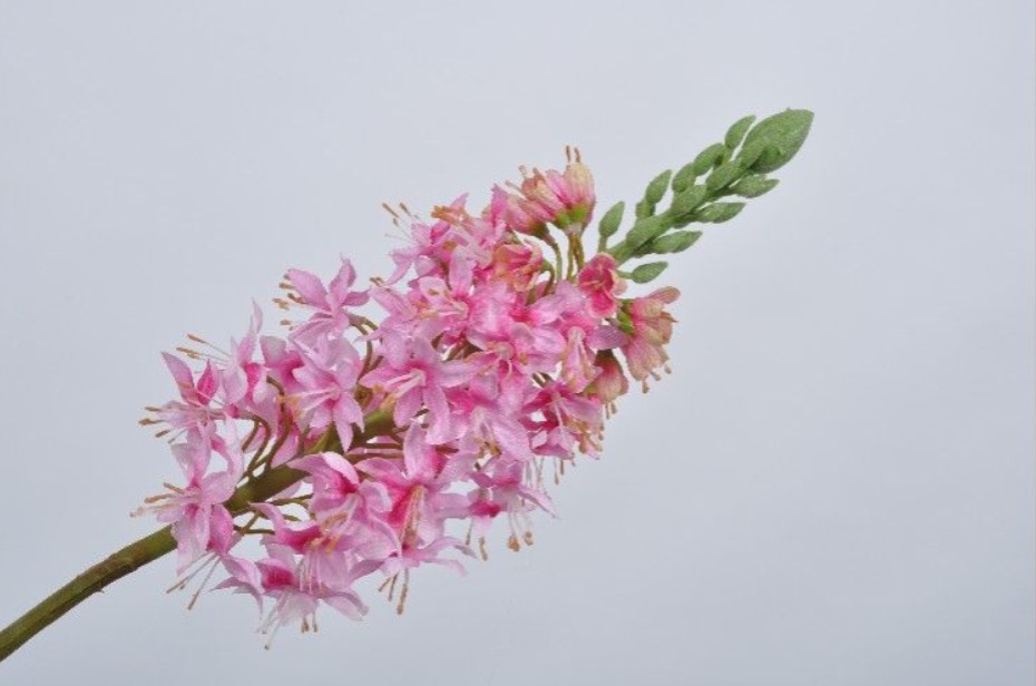 Декоративное растение DELPHINIUM STEM PINK 76 cm 128215 Silk-ka НИДЕРЛАНДЫ