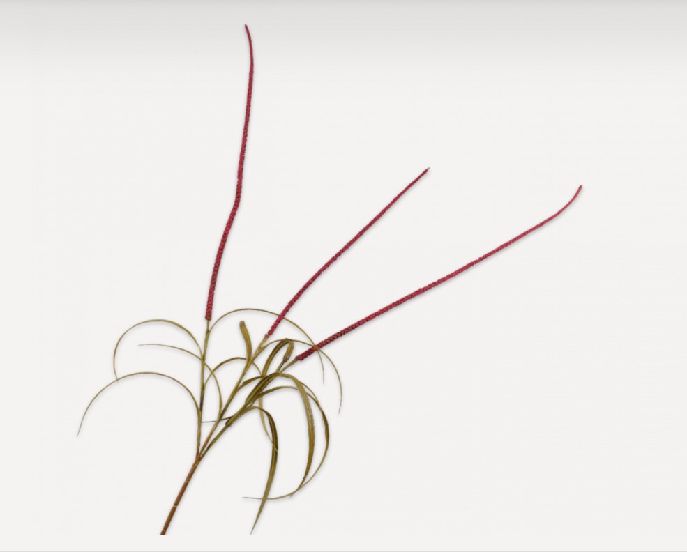 Декоративное растение GRAS TAK ROOD 135 cm 142318 Silk-ka НИДЕРЛАНДЫ