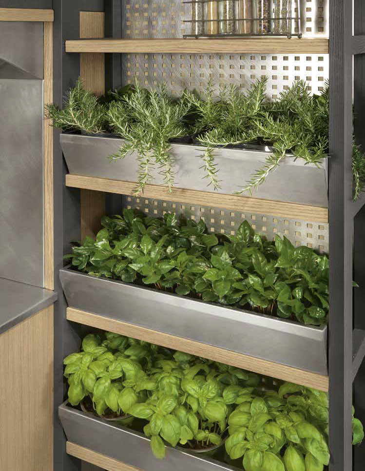 Растения в интерьере