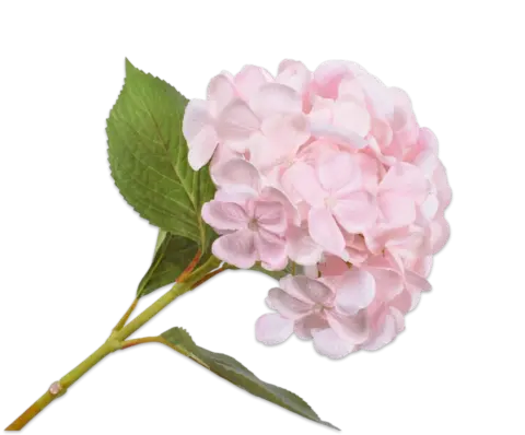 Декоративная гортензия HYDRANGEA SPRAY PINK LT 65 cm 135858 Silk-ka