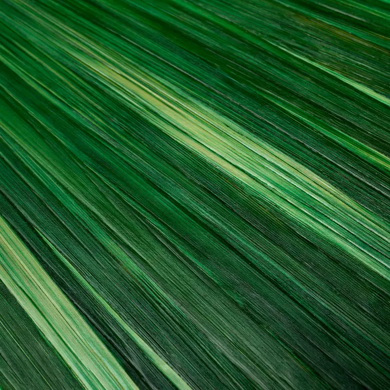 Шкатулка Harvard straw marquetry green Eichholtz