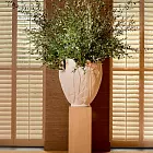 Кашпо Zanzibar 118063 Eichholtz