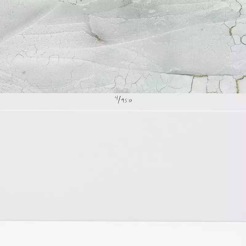 Постер Rift Valley by Vanna Lam set of 2 119750 Eichholtz