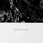 Постер Philippe Vogelenzang - Surrender Eichholtz