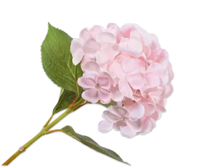 Декоративная гортензия HYDRANGEA SPRAY PINK LT 65 cm 135858 Silk-ka